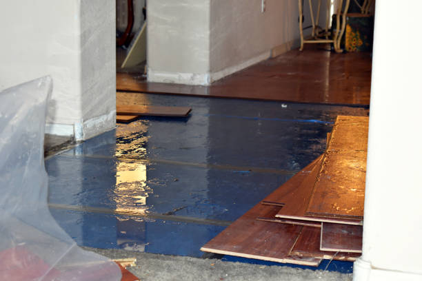 Professional Flood Cleanup technician working in Maribel, WI
